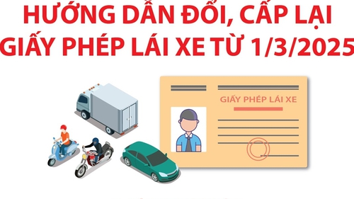 Bộ Công an hướng dẫn đổi, cấp lại giấy phép lái xe từ 1/3/2025