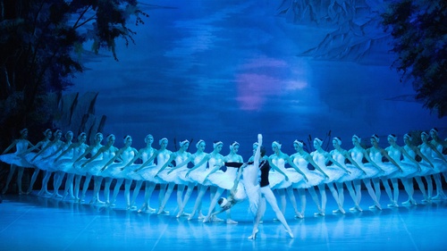 Huyền thoại ballet Nga mang vở diễn kinh điển 'Hồ thiên nga' đến Hà Nội