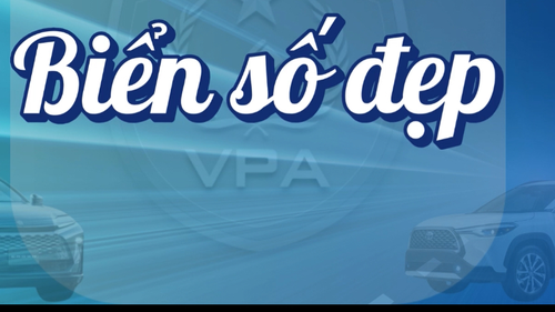 TOP 5 BIỂN SỐ Ô TÔ ĐƯỢC ĐẤU GIÁ THÀNH CÔNG NGÀY 18/4/2025   