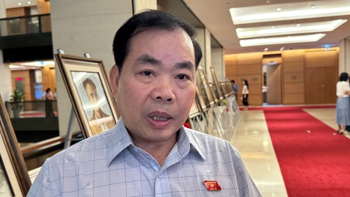 Đề xuất áp dụng biện pháp mạnh nếu người nổi tiếng cố tình quảng cáo sai sự thật