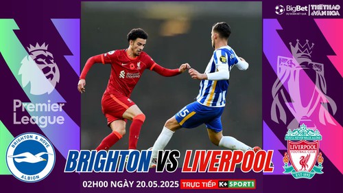 Nhận định, soi tỷ lệ Brighton vs Liverpool 02h00 ngày 20/5, Ngoại hạng Anh