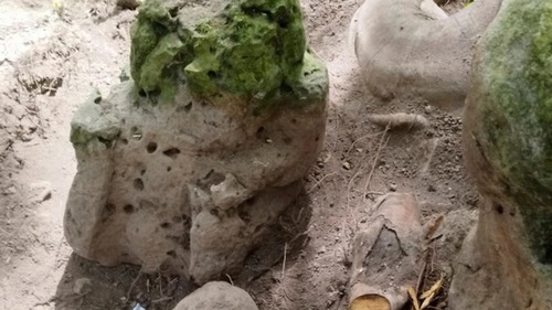 Guatemala phát hiện tàn tích thành phố cổ Maya có niên đại 2.800 năm