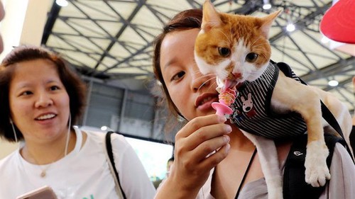 Người dân châu Á ngày càng hào phóng với thú cưng
