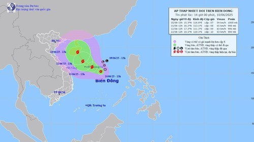 Các tỉnh, thành phố từ Quảng Ninh đến Khánh Hoà chủ động ứng phó với áp thấp nhiệt đới