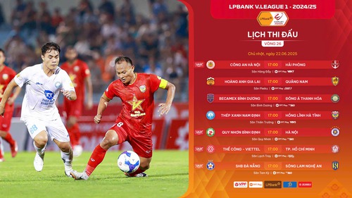 Kết quả chung cuộc V-League mùa 2024-25