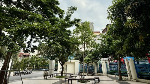 Dự báo thời tiết ngày 24/6: Hà Nội ngày nắng, chiều tối và đêm có mưa dông vài nơi