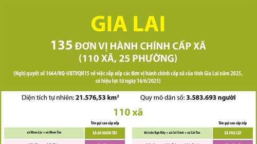 Thông tin chi tiết sắp xếp các đơn vị hành chính cấp xã của tỉnh Gia Lai