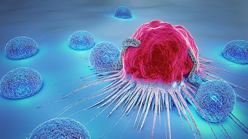 Israel công bố xét nghiệm đột phá giúp phát hiện nguy cơ ung thư máu