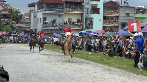 Sôi động giải đua ngựa truyền thống Bắc Hà: Khi khán giả còn đông hơn V-League