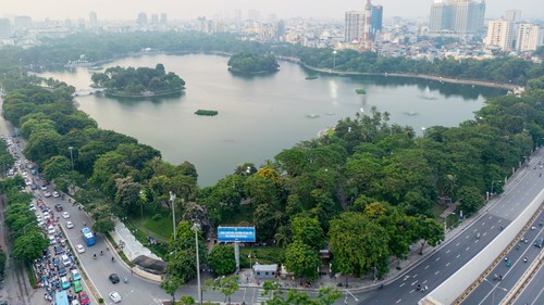 Cây xanh Hà Nội: Kiến tạo bản sắc đô thị từ bóng mát và ký ức