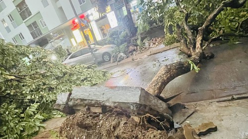 Nhiều cây xanh, công trình dân dụng bị hư hại do mưa dông
