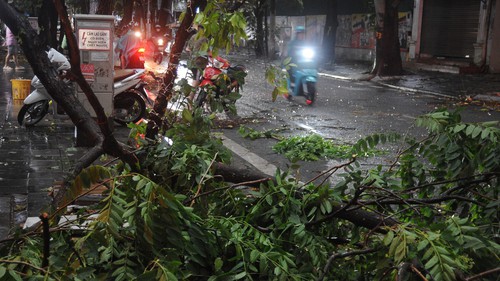 Bộ VHTTDL yêu cầu các đơn vị tập trung ứng phó với bão số 3 năm 2025