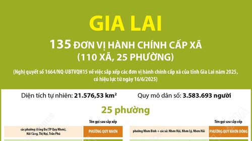 Thông tin chi tiết sắp xếp các đơn vị hành chính cấp xã của tỉnh Gia Lai: 25 phường