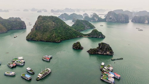 Tạm dừng toàn bộ tour du thuyền Hạ Long để tránh bão