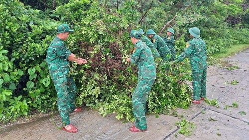 Bão số 3: Quảng Ninh khắc phục hậu quả sau khi bão đi qua