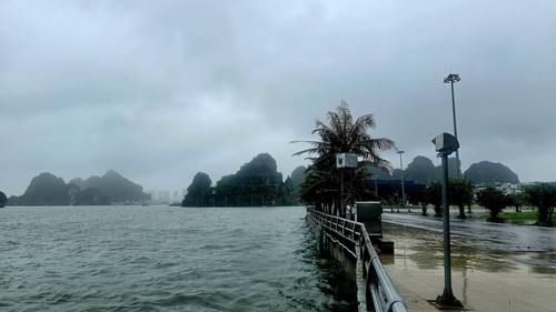 Chỉ đạo của Ban Bí thư về việc ứng phó với cơn bão số 3 Wipha