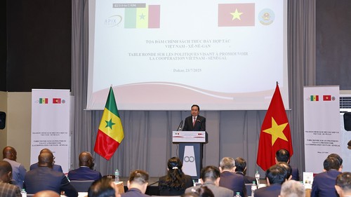 Hợp tác Việt Nam - Senegal: Tọa đàm chính sách thúc đẩy hợp tác song phương