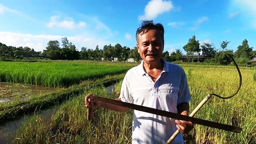 Chữ và nghĩa: "Phảng đâu, cù nèo đó"