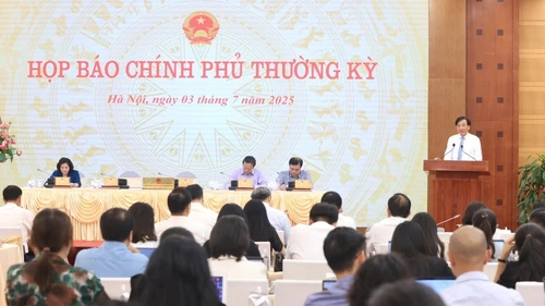 Họp báo Chính phủ: Xử lý nghiêm, làm rõ những sơ hở, lỗ hổng liên quan sữa giả, thực phẩm giả