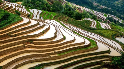 Khuổi My lấp lánh mùa nước đổ