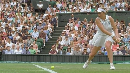 BTC Wimbledon buộc phải xin lỗi vì 'trí tuệ nhân tạo' làm ảnh hưởng nghiêm trọng đến một trận đấu