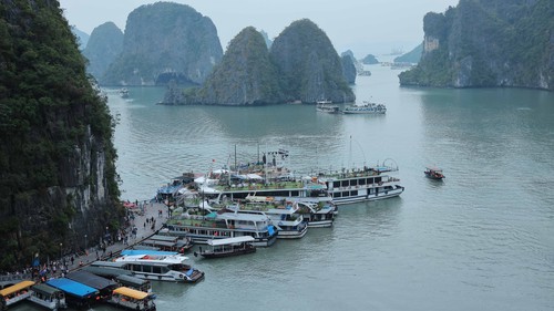 Quảng Ninh nghiên cứu lắp đặt hệ thống cảnh báo dông lốc trên vịnh Hạ Long, vịnh Bái Tử Long