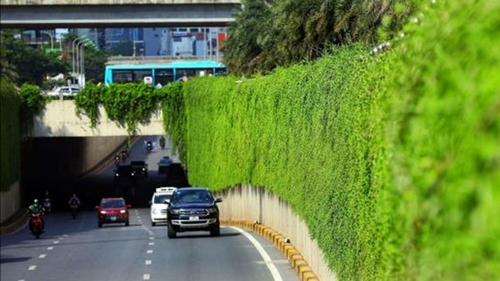 Thủ tướng yêu cầu phát động phong trào toàn dân chung tay bảo vệ môi trường