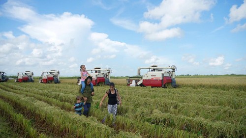 “Hạt giống hạnh phúc”- Bộ phim tài liệu phát sóng trên Truyền hình Việt Nam và Cuba