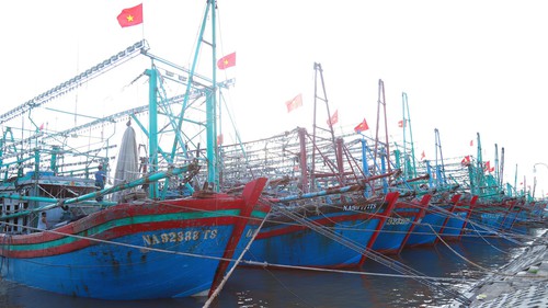 Chỉ đạo của Ban Bí thư về ứng phó với cơn bão số 5 (Kajiki)