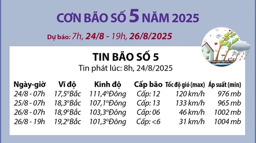 Đường đi của bão số 5 năm 2025: Dự báo từ 7h ngày 24/8 đến 19h ngày 26/8