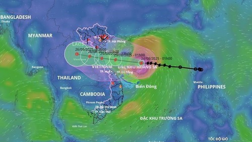 Thứ trưởng Lê Công Thành: Theo dõi sát bão số 5, đưa ra những dự báo sát thực tế để giảm thiệt hại