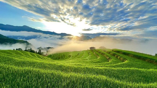 Mùa vàng Thông Nguyên - Bản giao hòa giữa sắc màu văn hóa và thiên nhiên