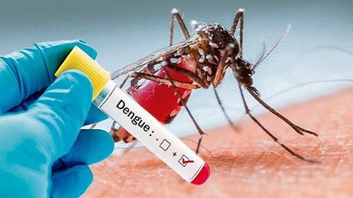 Hà Nội: Dự báo sốt xuất huyết tiếp tục gia tăng theo chu kỳ dịch