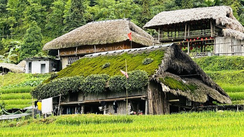 Giữ hồn mái nhà rêu dưới chân Tây Côn Lĩnh (Tuyên Quang)