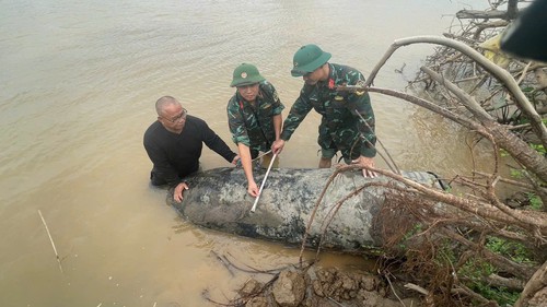 Xử lý an toàn 2 quả bom được phát hiện gần bãi giữa sông Hồng