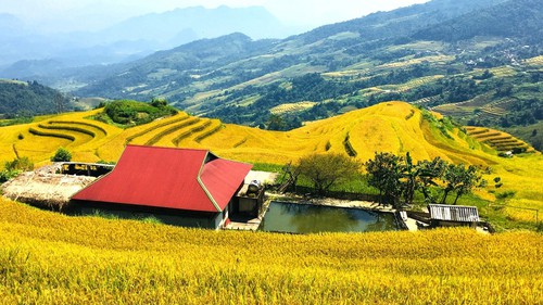 Xà Phìn - hòa mình trong sắc vàng, đắm say hồn rêu xanh