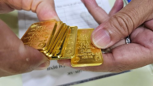 Giá vàng hôm nay 24/9: Vàng miếng giảm nhẹ, vàng nhẫn giữ nguyên 