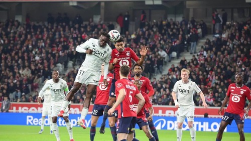 Nhận định, soi tỷ lệ Lille vs Brann 23h45 ngày 25/9, Vòng bảng Europa League