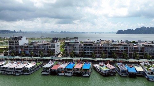 Quảng Ninh: Huy động hàng chục nghìn người và phương tiện chống bão