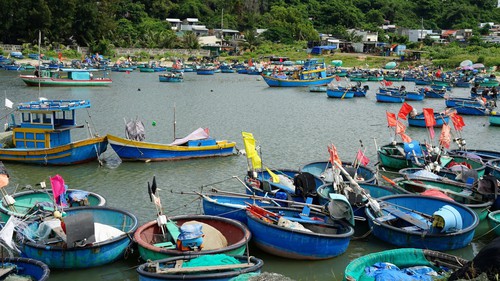 Bình yên làng nghề thuyền thúng ở Tiến Thành, tỉnh Lâm Đồng