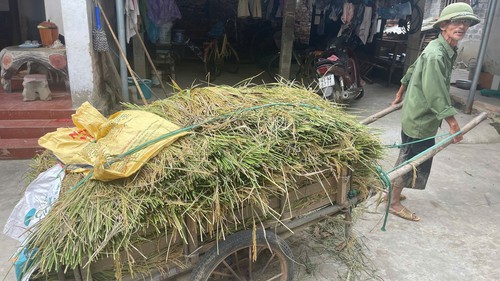 Vùng "rốn lũ", trũng thấp Hà Nội chủ động mọi tình huống bão số 9