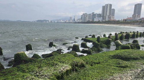 Thu phí tham quan vịnh Nha Trang từ ngày 25/9/2025
