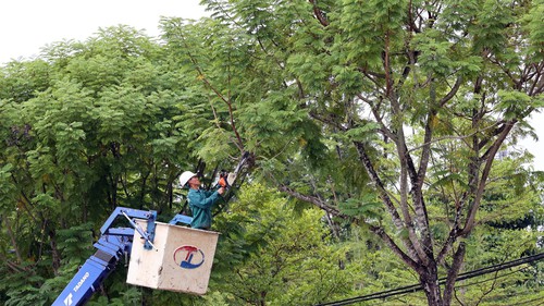 Đà Nẵng khẩn trương ứng phó trước diễn biến phức tạp của bão số 10