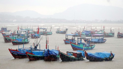 Thứ trưởng Nguyễn Hoàng Hiệp: Bão số 10 là cơn bão mạnh, chưa có yếu tố làm suy giảm cường độ