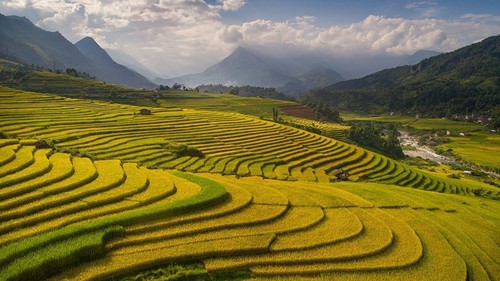 Du lịch và Chuyển đổi bền vững: Hành trình Xanh