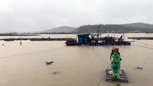 Ứng phó bão số 10: Nghệ An di dời hàng trăm hộ dân