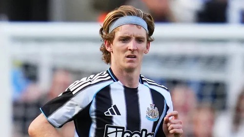 Nhận định, soi tỷ lệ Union SG vs Newcastle 23h45 ngày 1/10, vòng phân hạng Champions League