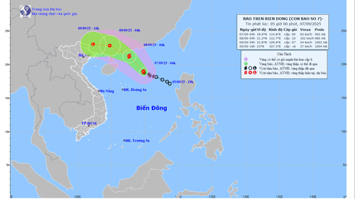 Bão số 7 hoạt động trên khu vực phía Bắc Biển Đông, sức gió mạnh nhất giật cấp 11