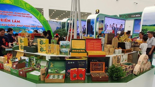 Triển lãm thành tựu đất nước: Du lịch các tỉnh thành qua 34 gian trưng bày