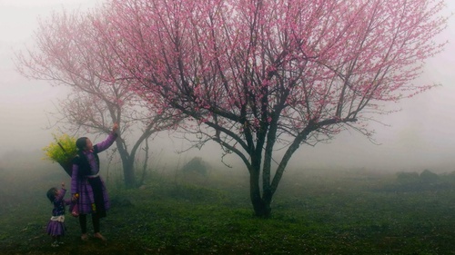 Thời tiết ngày 11/1: Bắc Bộ và Bắc Trung Bộ nhiệt độ tăng, xu hướng ấm dần